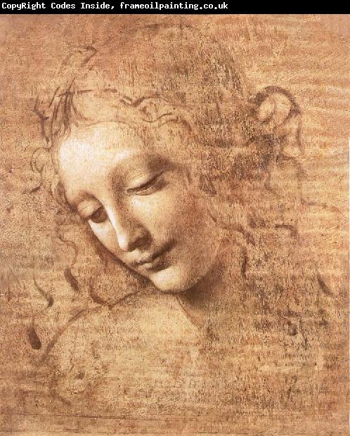 LEONARDO da Vinci Madchenkopf with confused hair